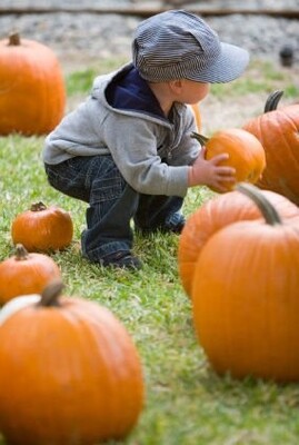 Did You Know Pumpkin Is A Fruit?