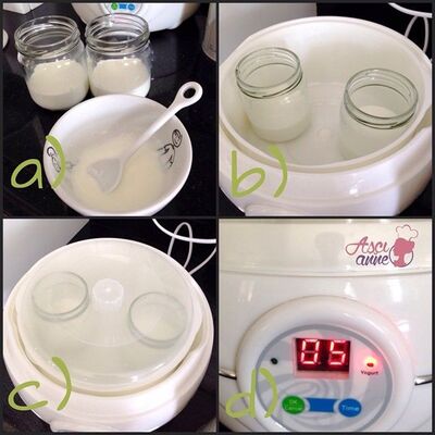 Fermentation of Yogurt with Follow-Up Milk or Formula Milk